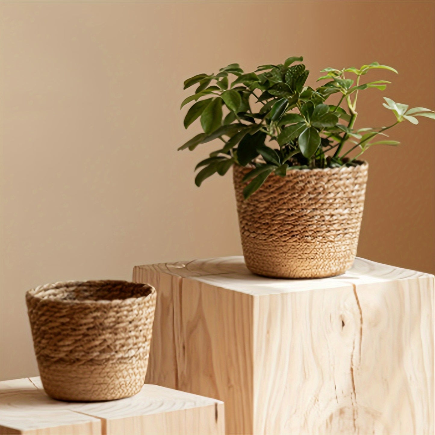 3 Pcs Seagrass Planter Baskets