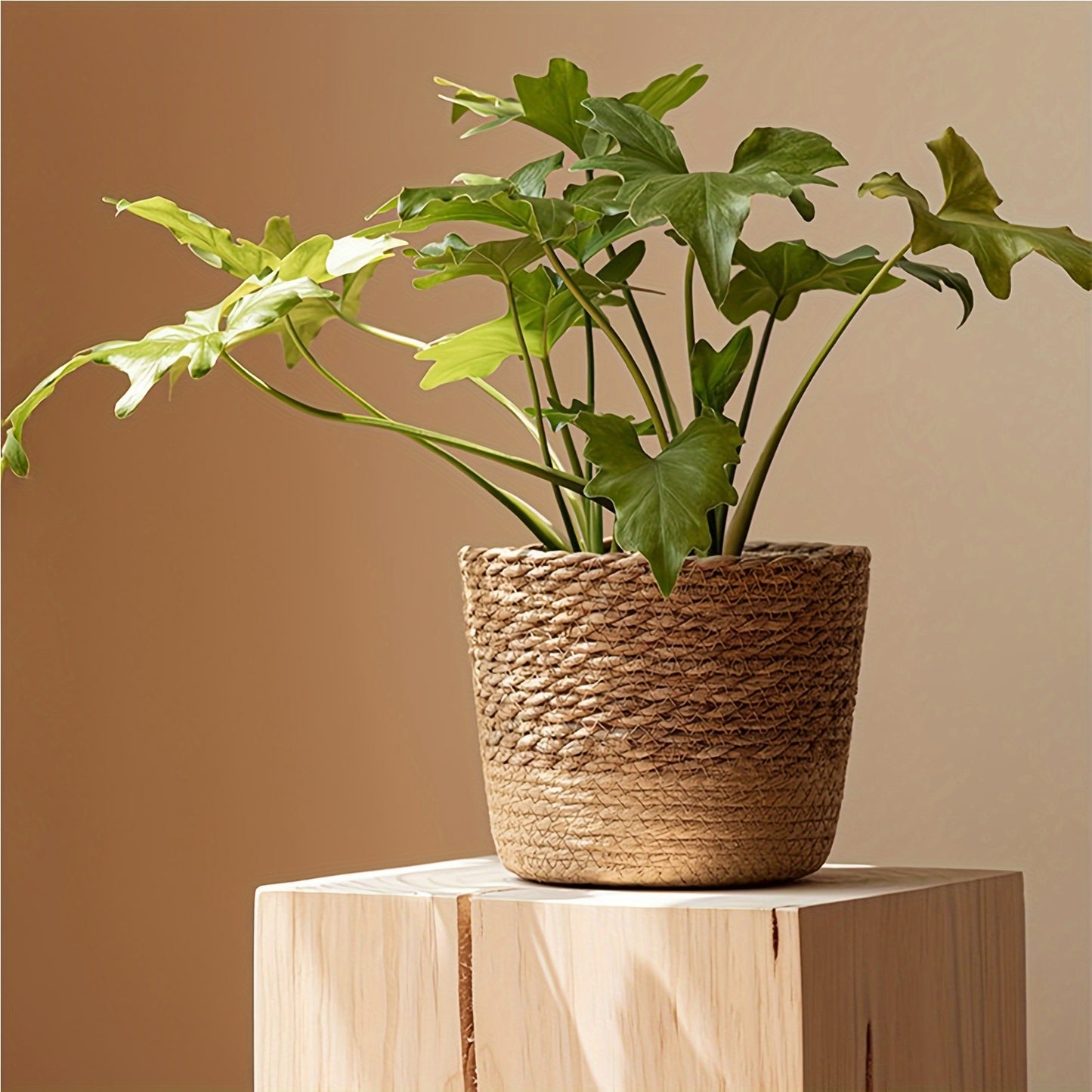 3 Pcs Seagrass Planter Baskets