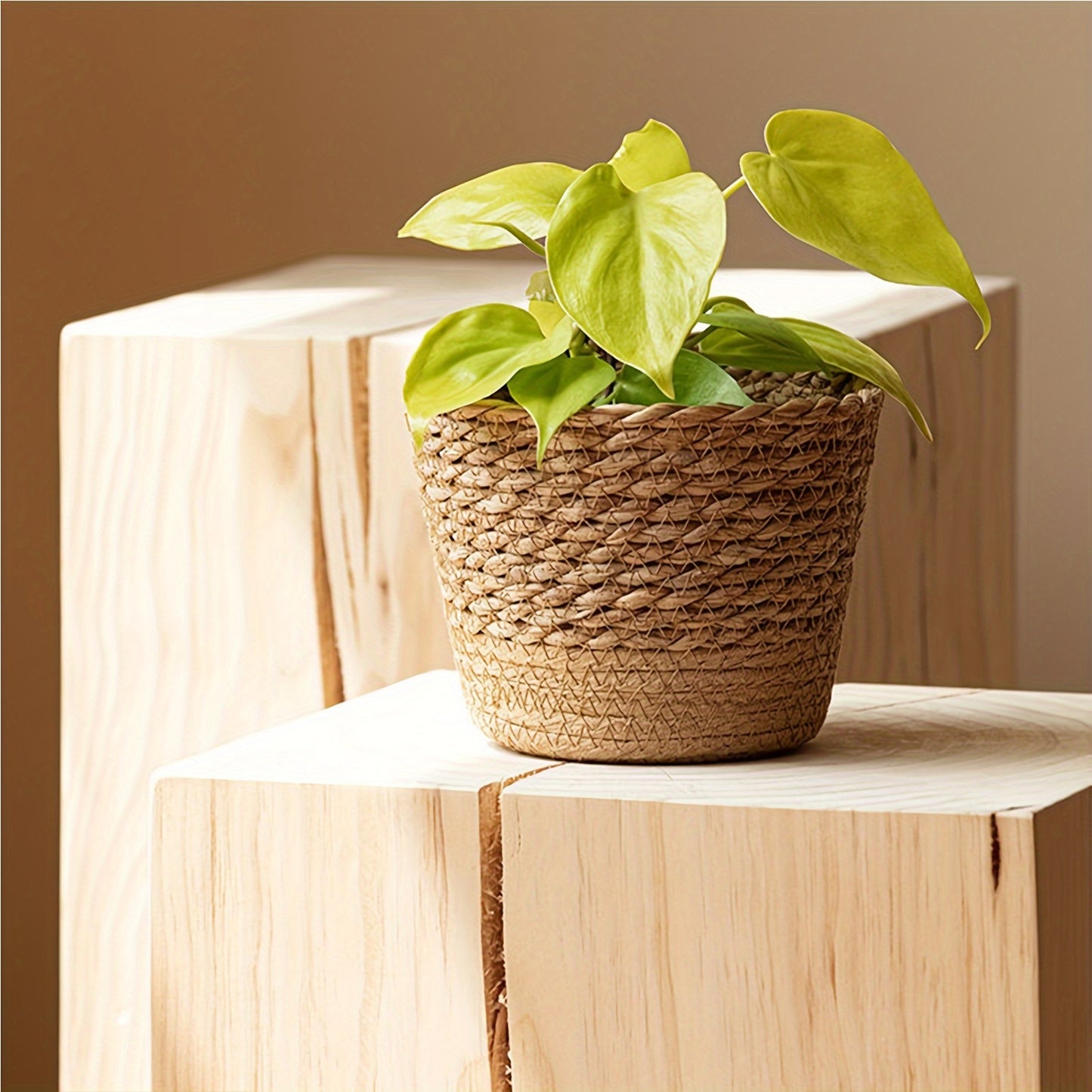 3 Pcs Seagrass Planter Baskets